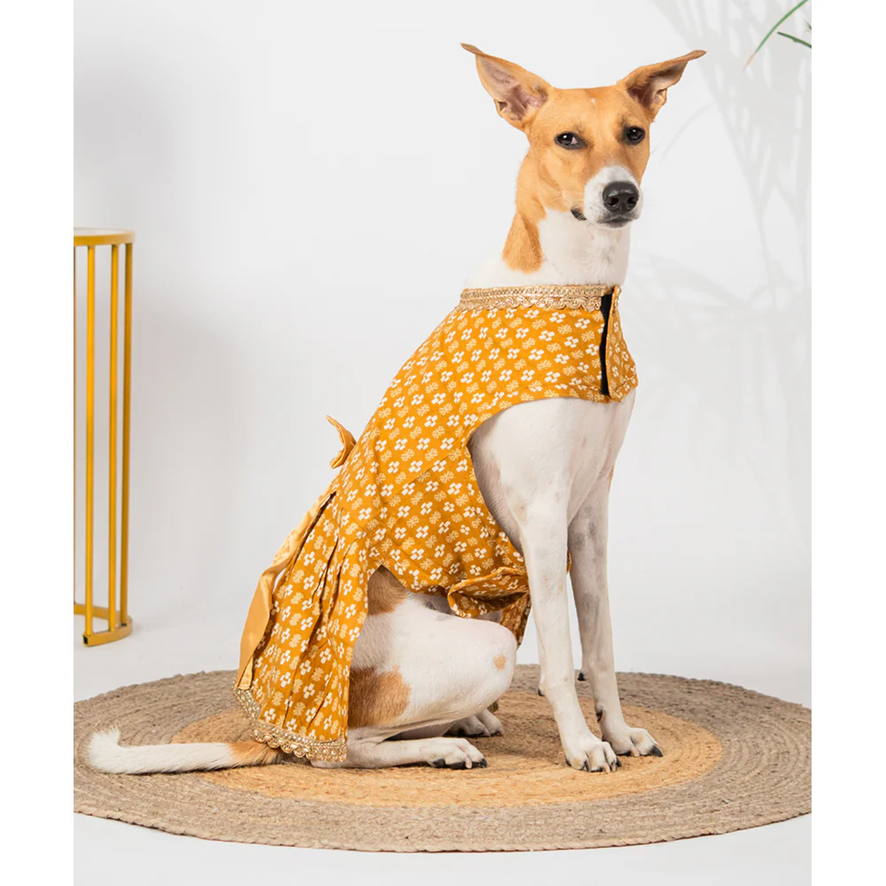 Pet Set Go Kanak Cotton Dress for Dogs (Orange) - Image 7