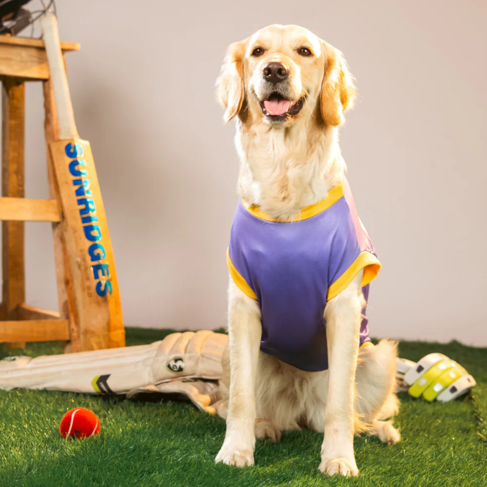 Pet Set Go Kolkata Woof Gliders IPL Jersey for Dogs (Purple) | Indian Pet League - Image 5