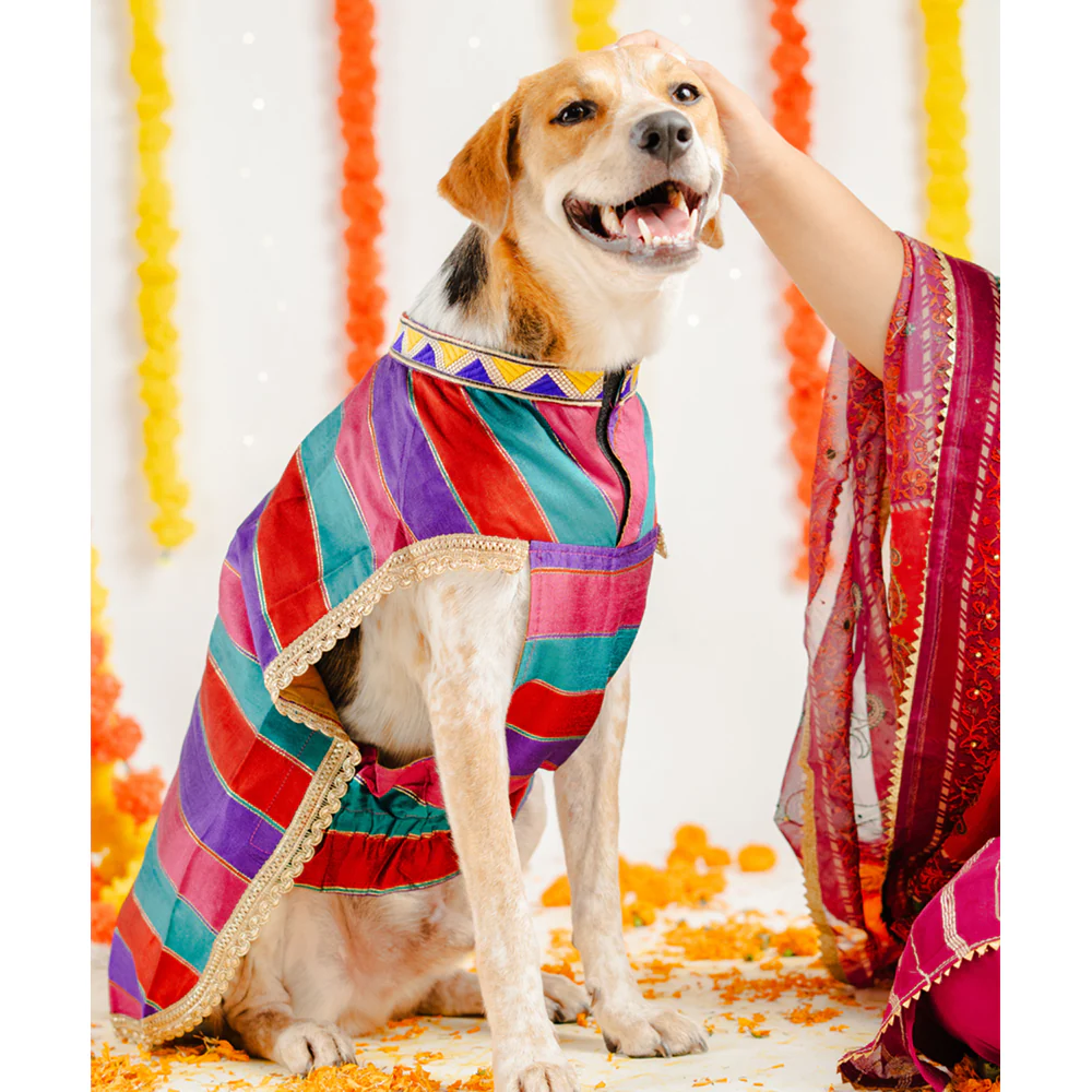 Pet Set Go Kurta for Dogs (Multi Coloured) - Image 3
