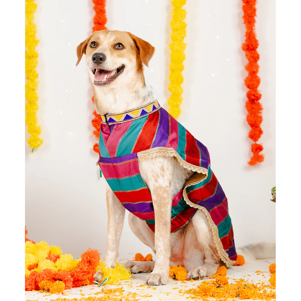 Pet Set Go Kurta for Dogs (Multi Coloured) - Image 5