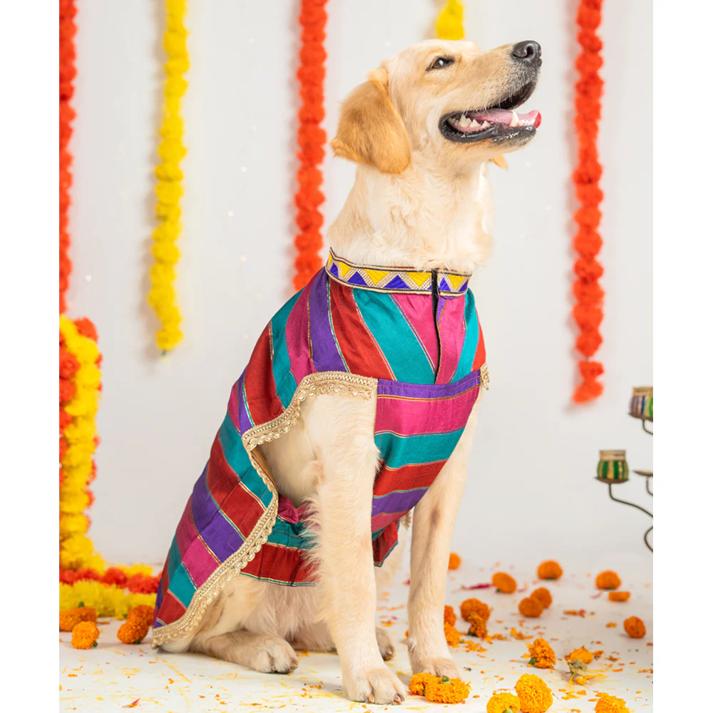 Pet Set Go Kurta for Dogs (Multi Coloured) - Image 6