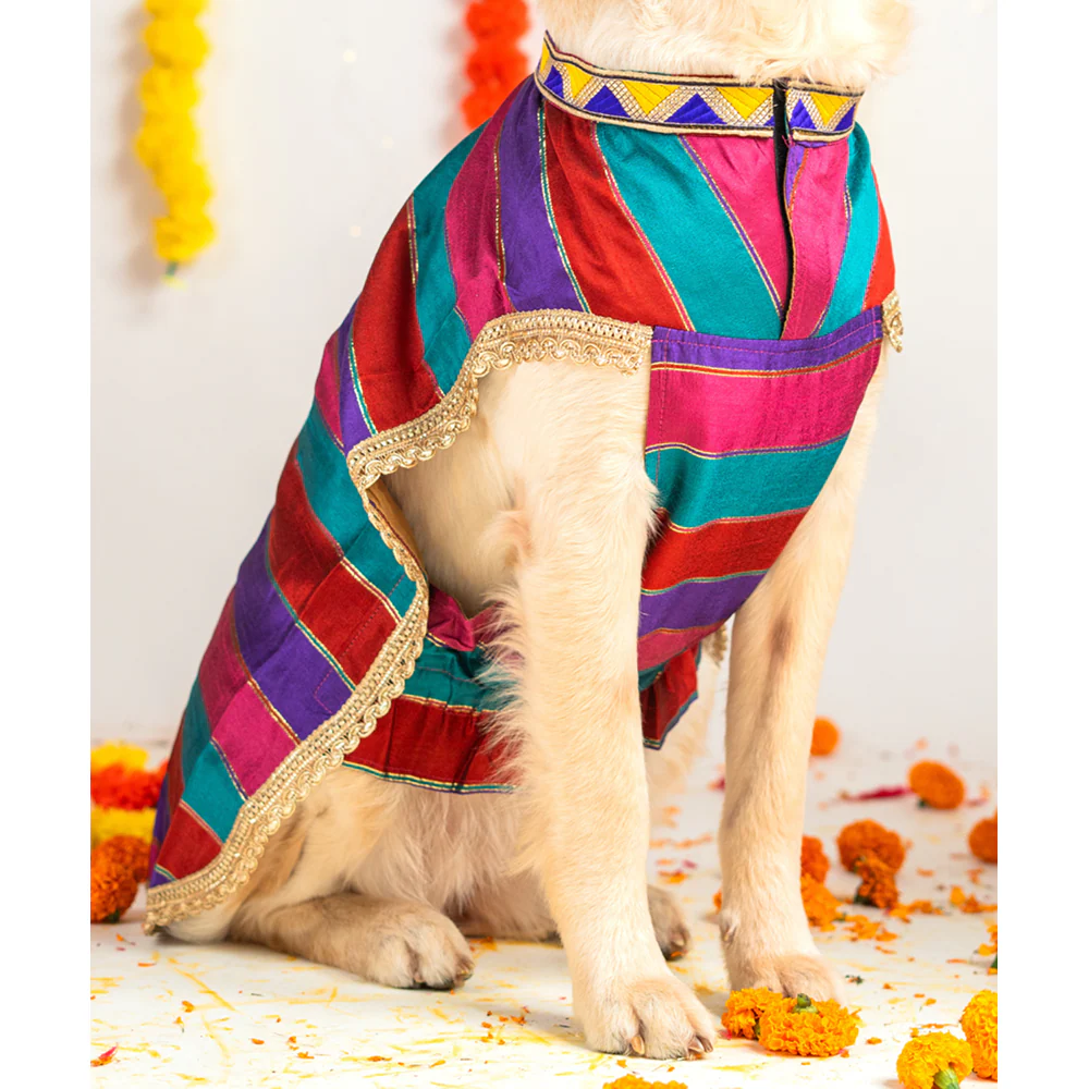 Pet Set Go Kurta for Dogs (Multi Coloured) - Image 8