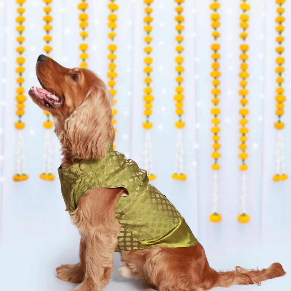 Pet Set Go Kurta for Dogs (Green) - Image 2
