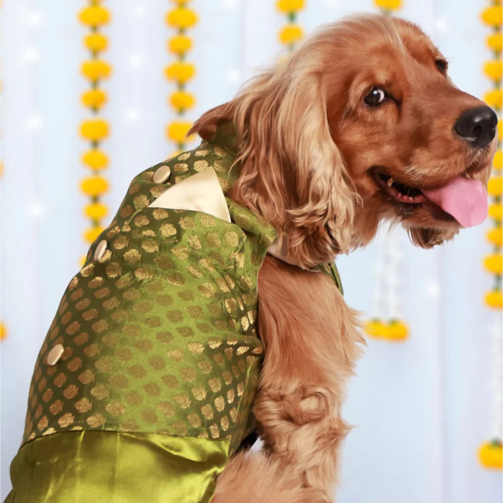Pet Set Go Kurta for Dogs (Green) - Image 3