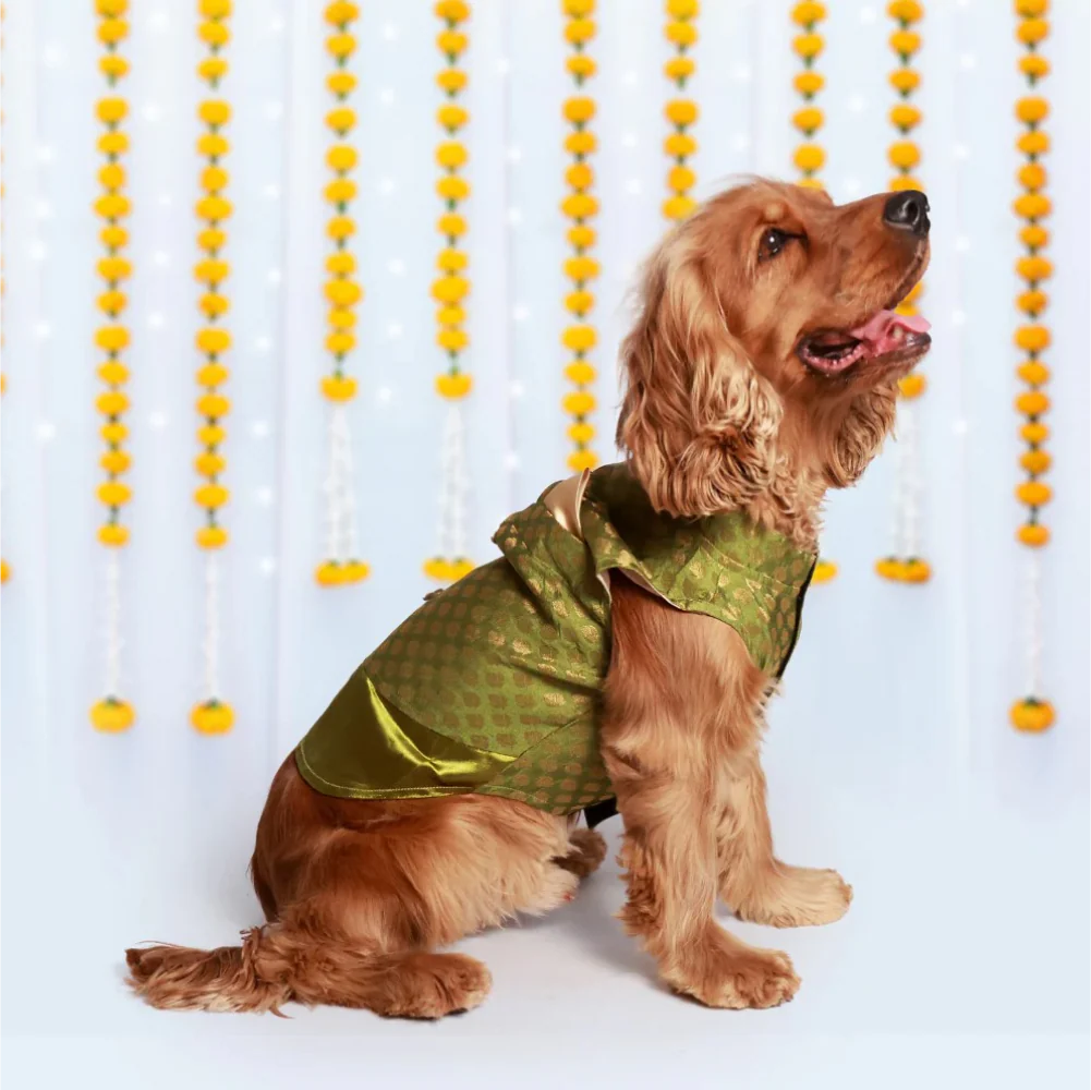 Pet Set Go Kurta for Dogs (Green) - Image 5