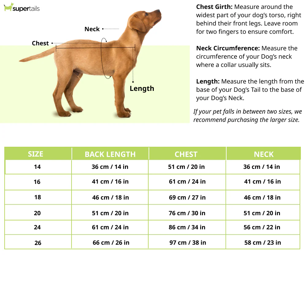 Pet Set Go Kurta for Dogs (Green) - Image 6