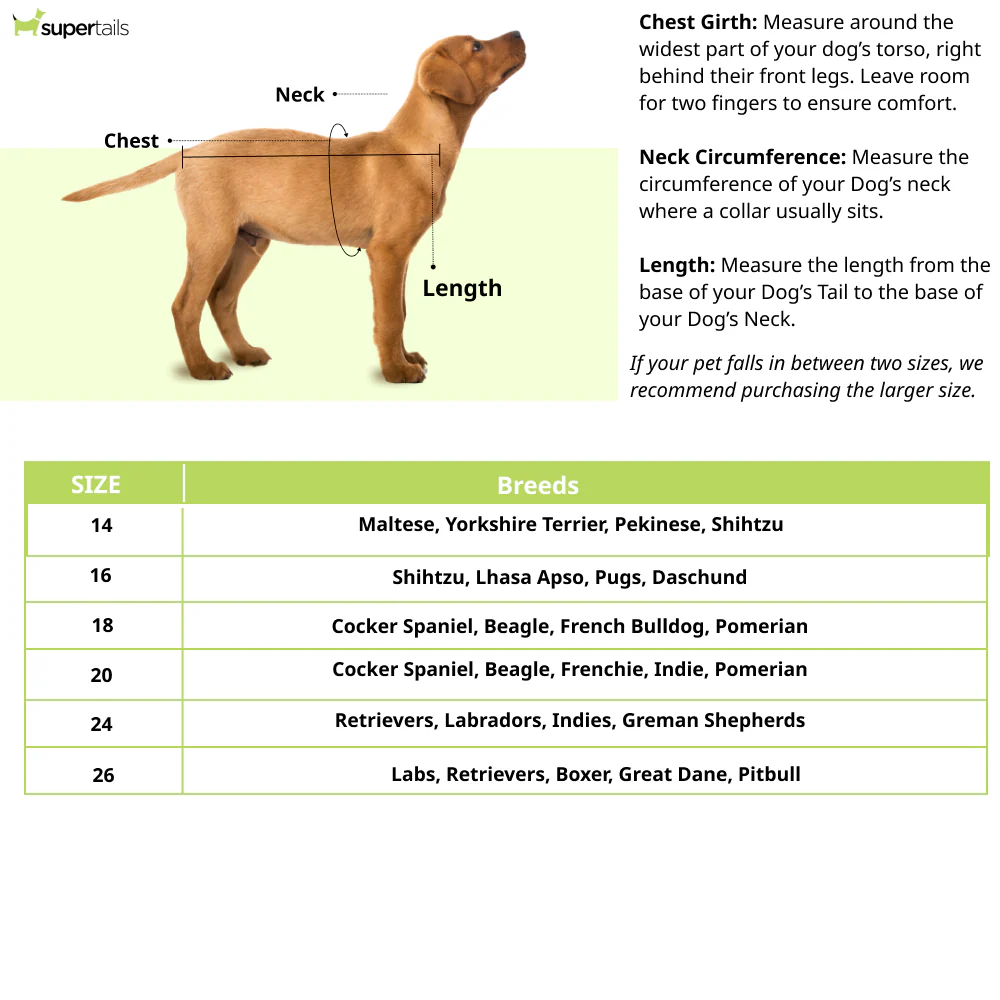 Pet Set Go Kurta for Dogs (Green) - Image 7