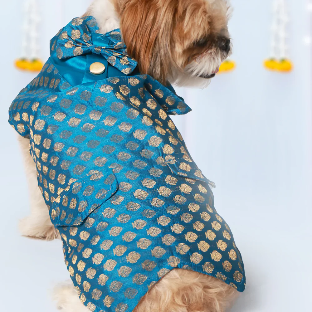 Pet Set Go Kurta with Bowtie  for Dogs (Blue) - Image 2