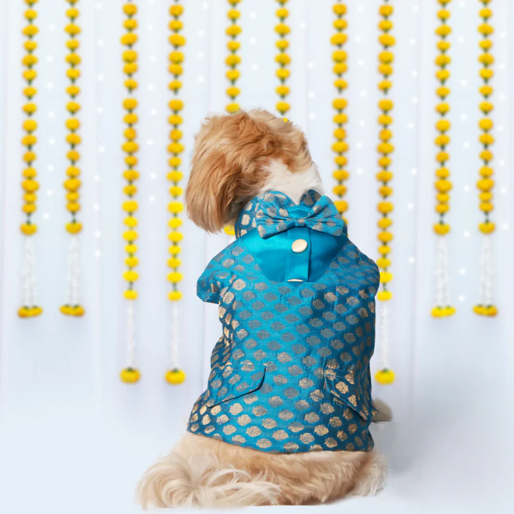 Pet Set Go Kurta with Bowtie  for Dogs (Blue) - Image 3