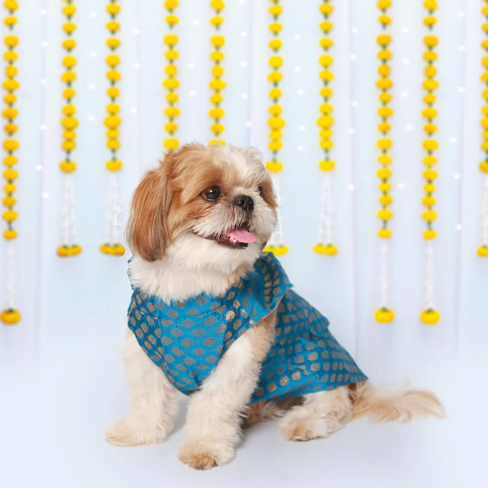 Pet Set Go Kurta with Bowtie  for Dogs (Blue) - Image 4