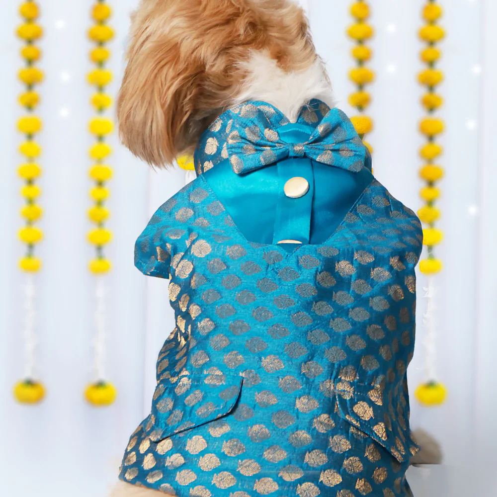 Pet Set Go Kurta with Bowtie  for Dogs (Blue) - Image 5