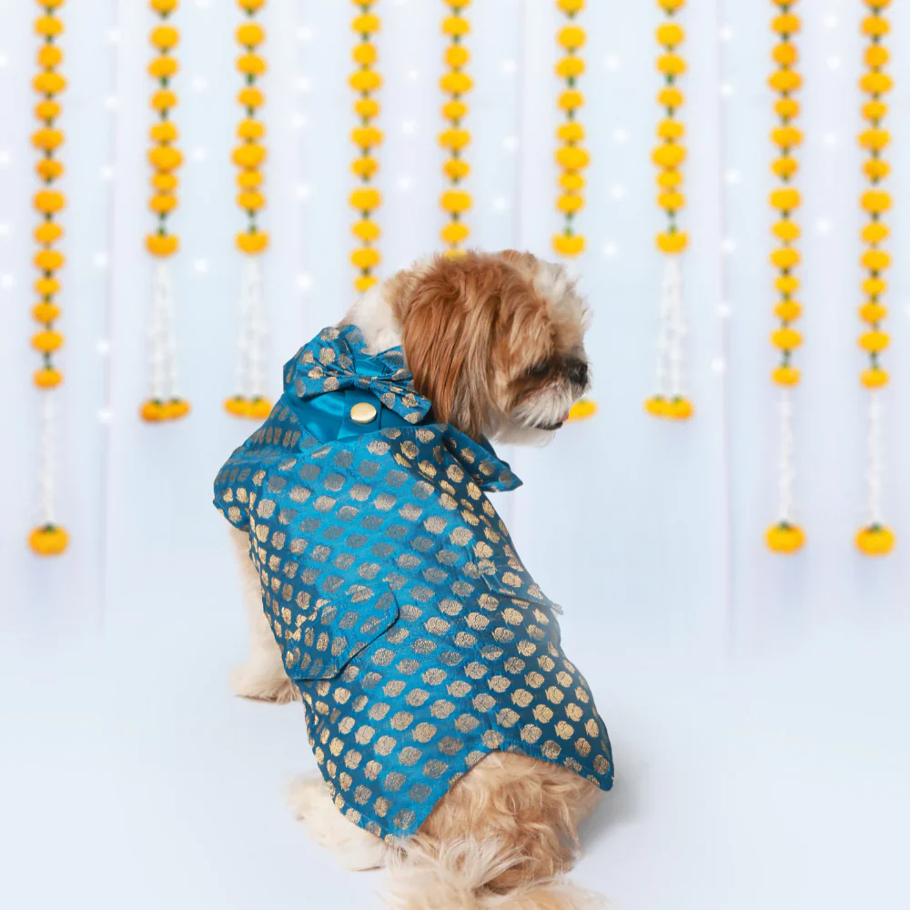 Pet Set Go Kurta with Bowtie  for Dogs (Blue) - Image 6