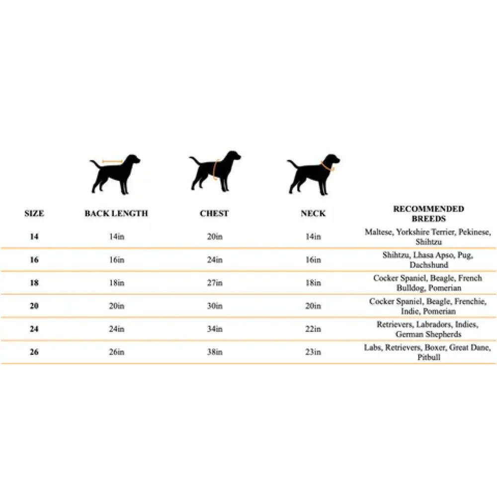 Pet Set Go Kurta with Bowtie  for Dogs (Blue) - Image 7