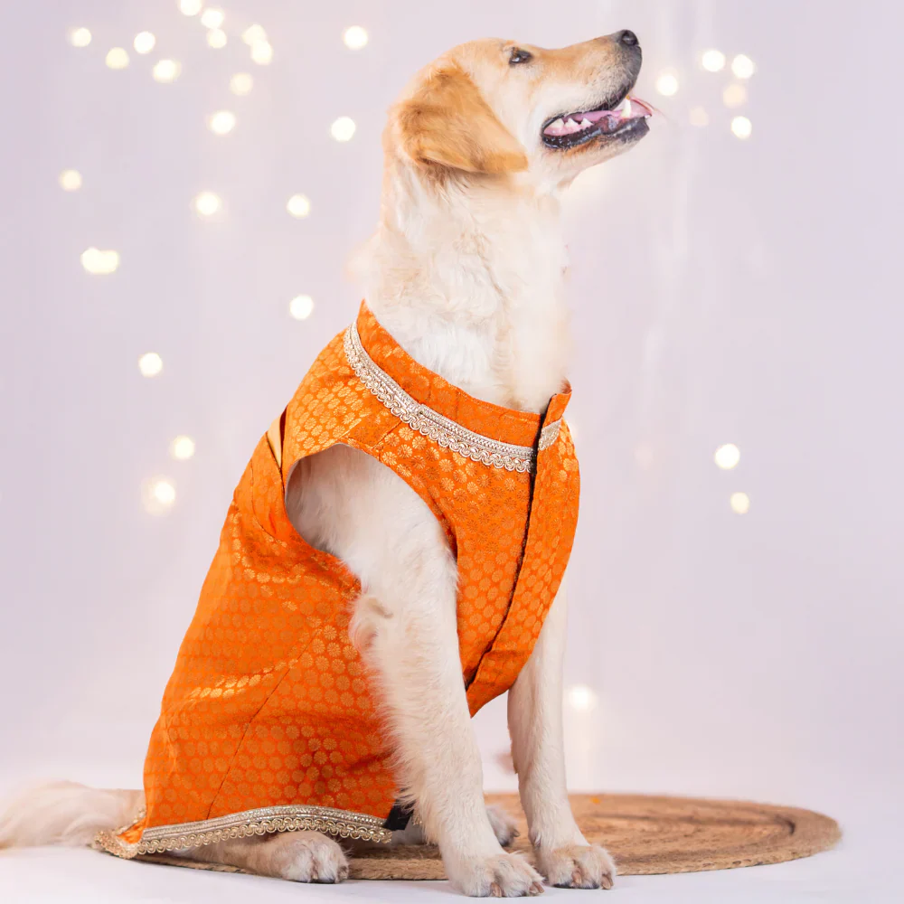 Pet Set Go Kurta with Bowtie  for Dogs (Orange) - Image 10