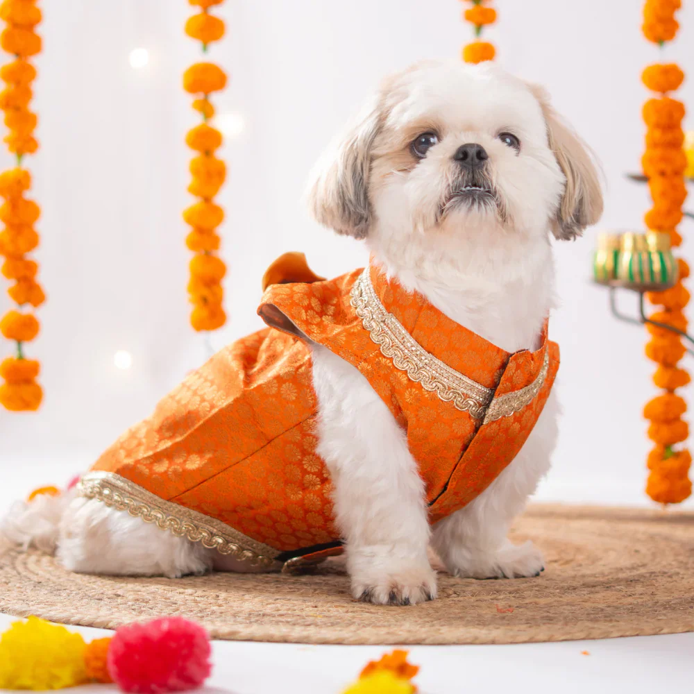 Pet Set Go Kurta with Bowtie  for Dogs (Orange) - Image 11