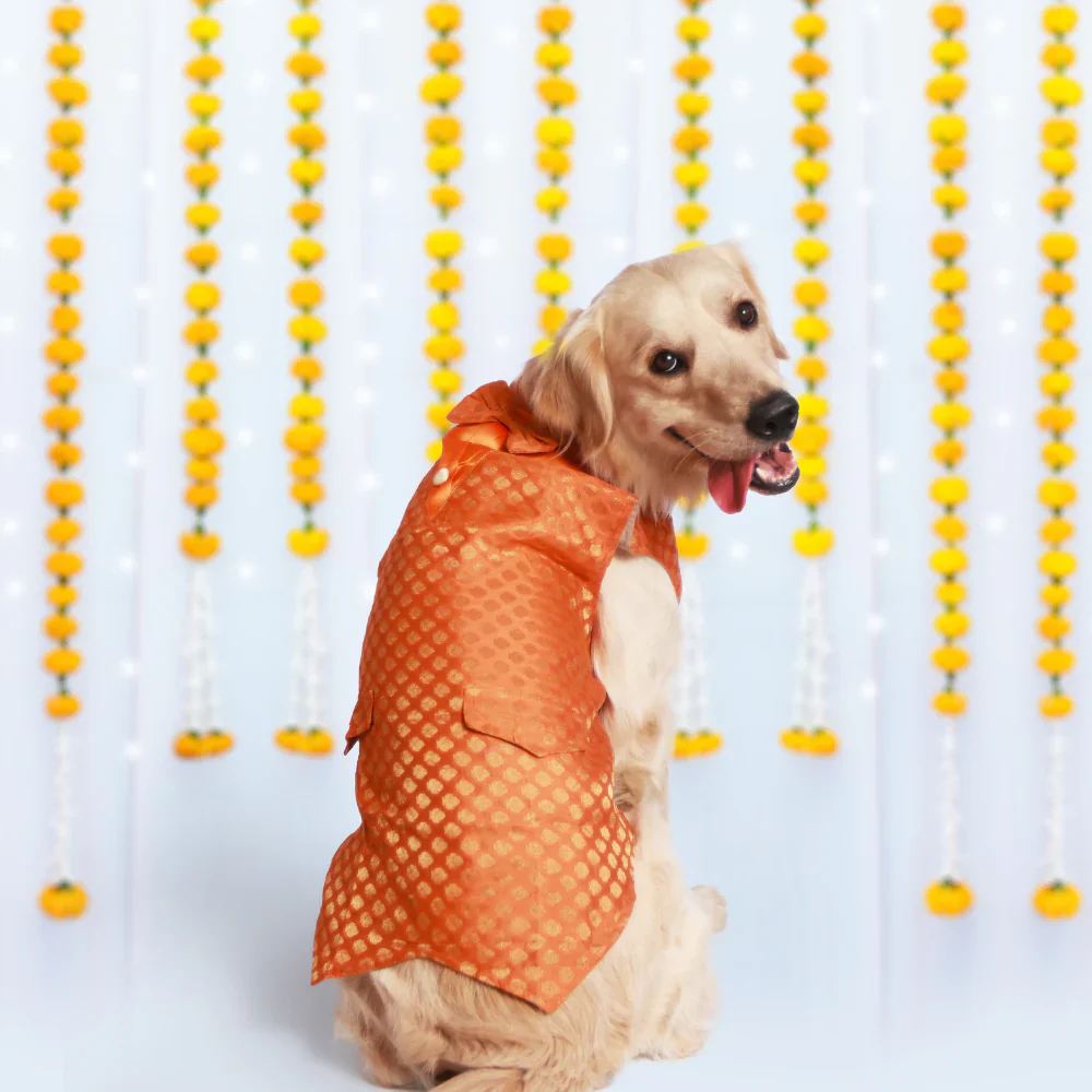 Pet Set Go Kurta with Bowtie  for Dogs (Orange) - Image 2