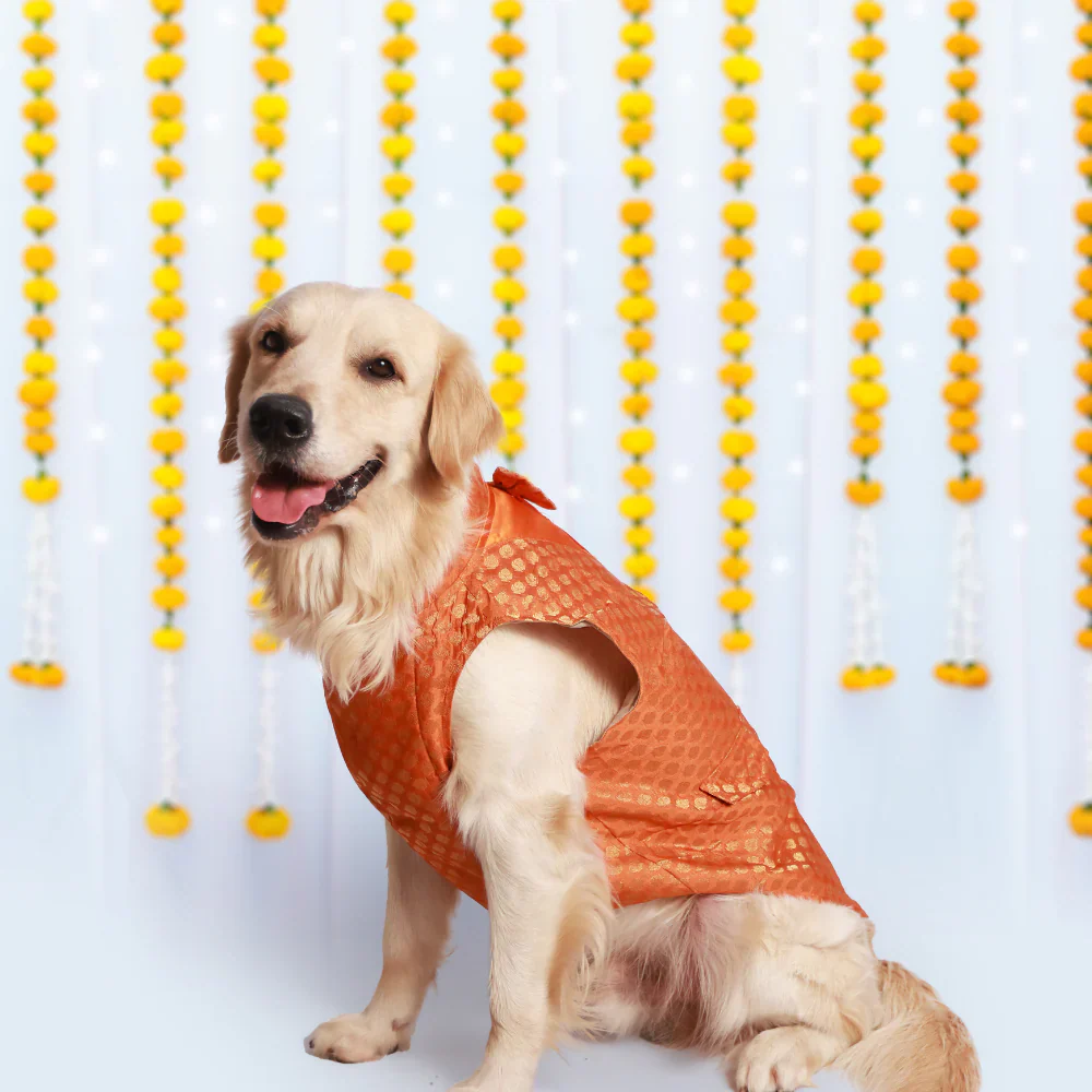 Pet Set Go Kurta with Bowtie  for Dogs (Orange) - Image 3