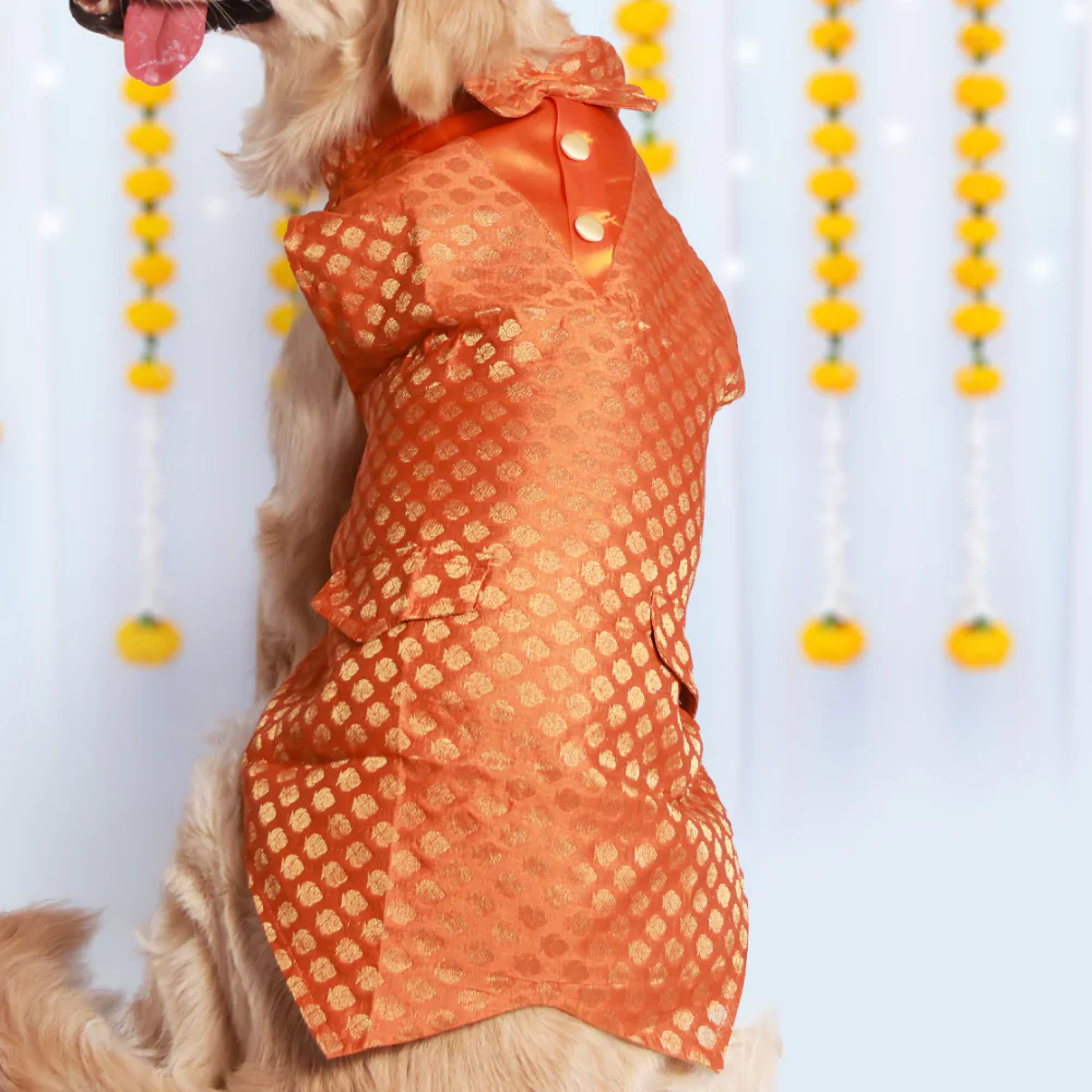 Pet Set Go Kurta with Bowtie  for Dogs (Orange) - Image 5