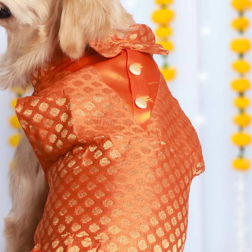Pet Set Go Kurta with Bowtie  for Dogs (Orange) - Image 6