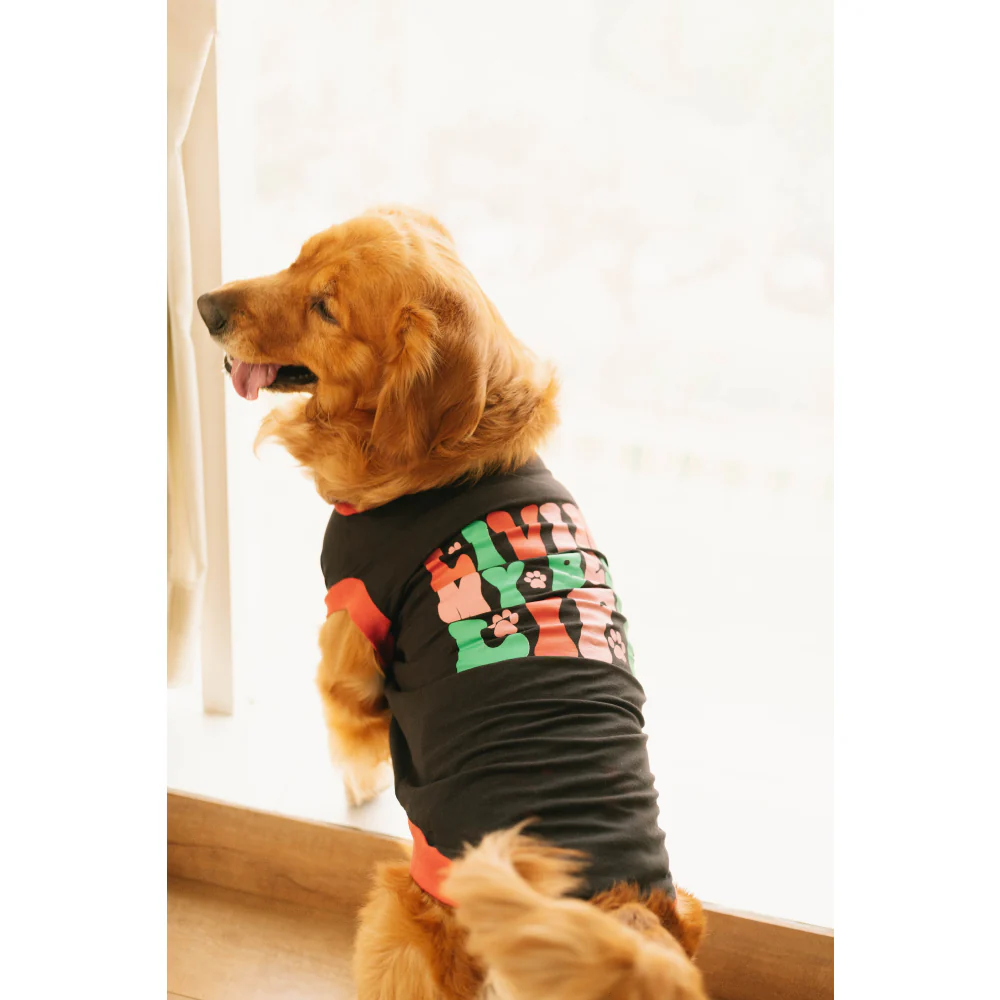 Pet Set Go Living My Best Life T-shirt for Dogs (Black) - Image 4