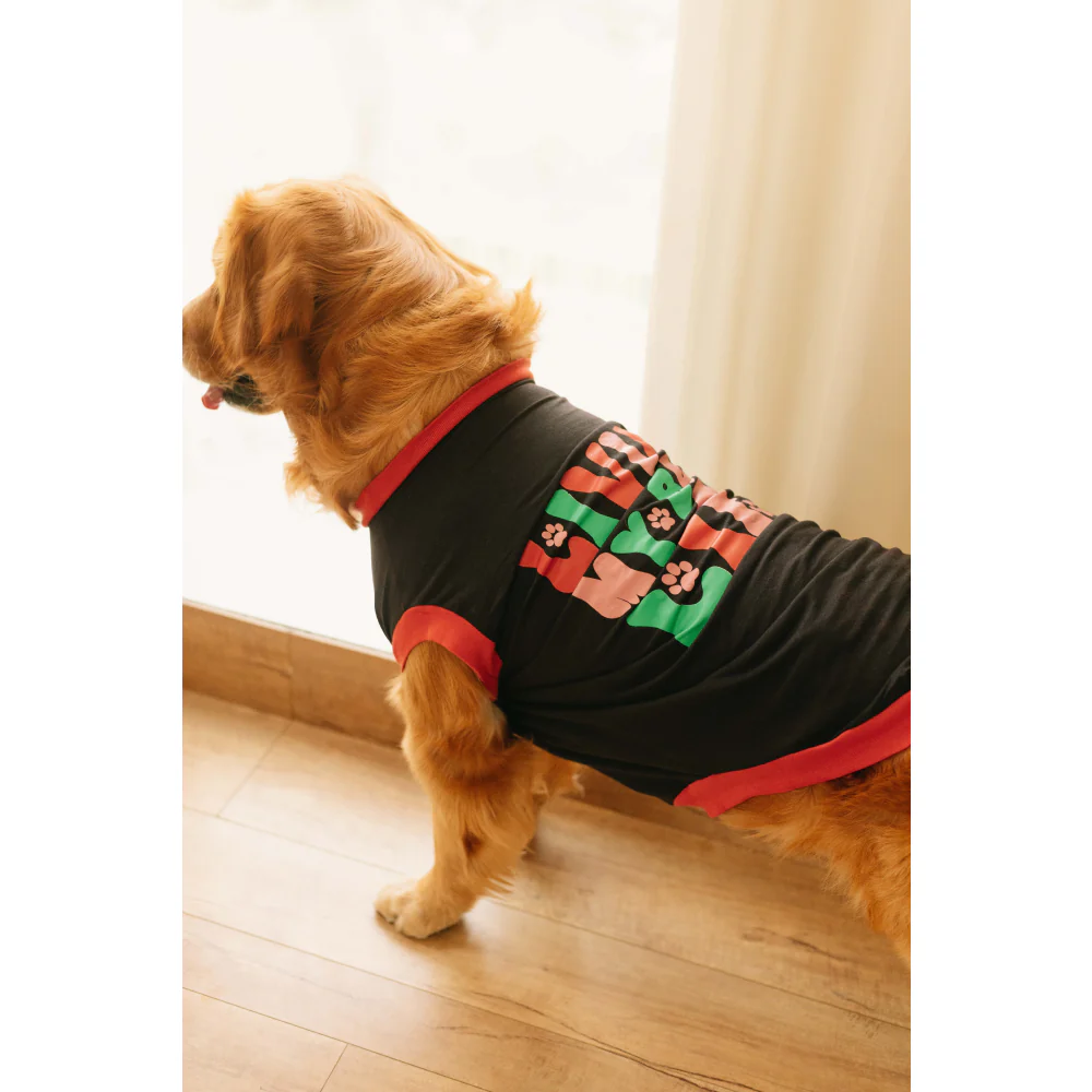 Pet Set Go Living My Best Life T-shirt for Dogs (Black) - Image 7