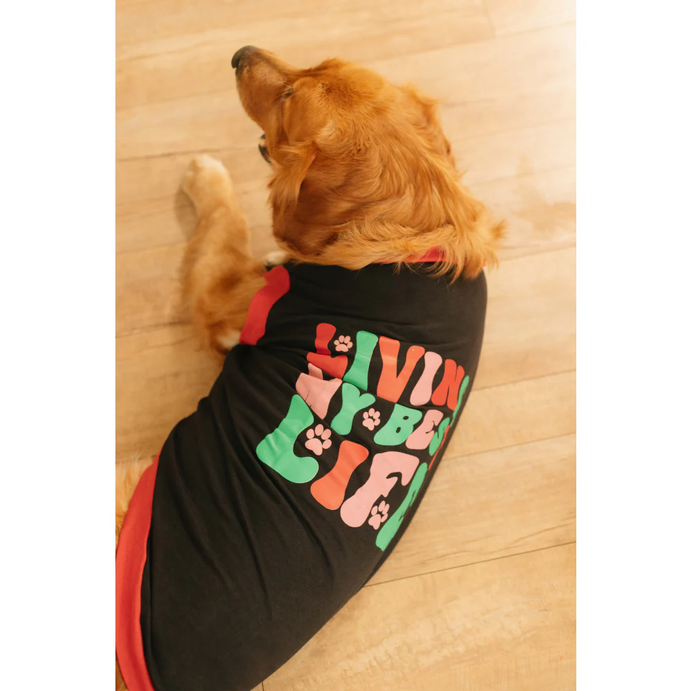Pet Set Go Living My Best Life T-shirt for Dogs (Black) - Image 8