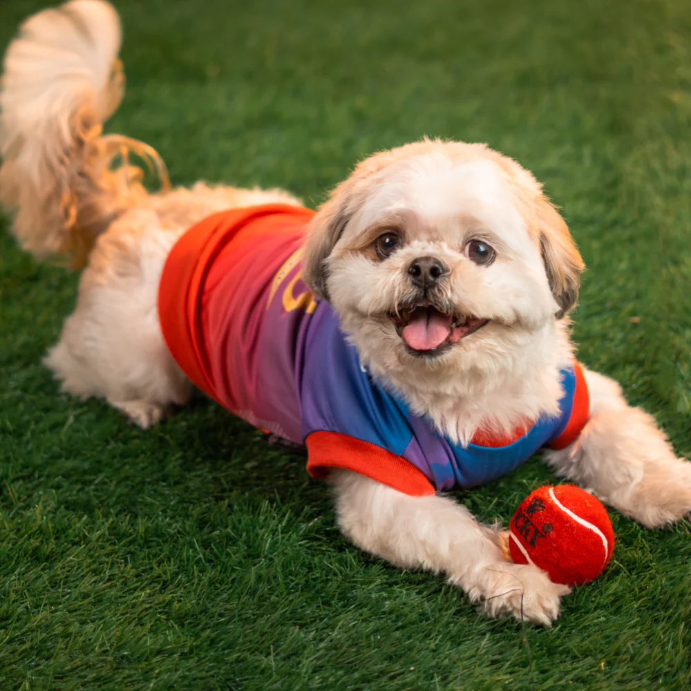 Pet Set Go Loyal Chewers Bangalore IPL Jersey for Dogs (Red) | Indian Pet League - Image 3