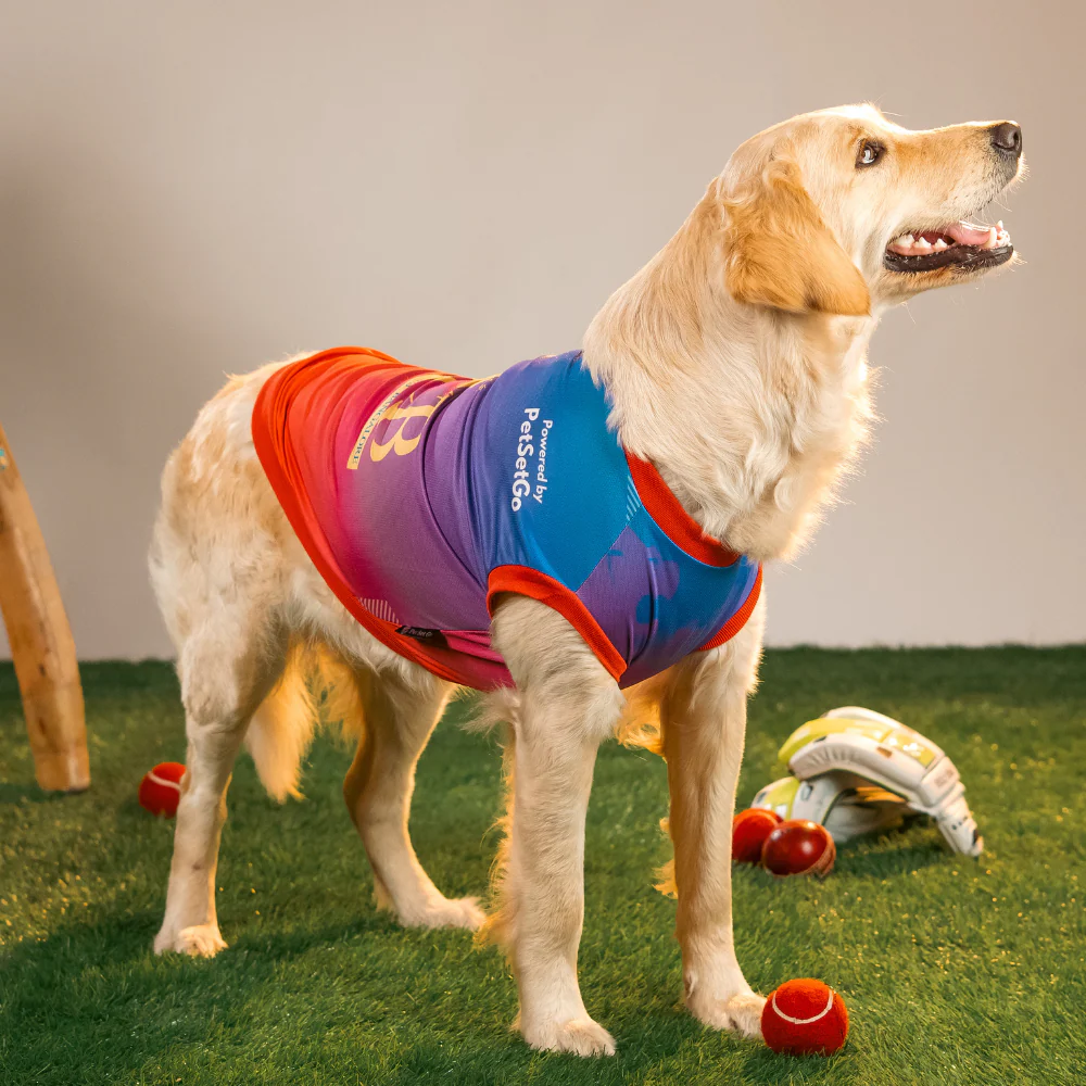 Pet Set Go Loyal Chewers Bangalore IPL Jersey for Dogs (Red) | Indian Pet League - Image 5