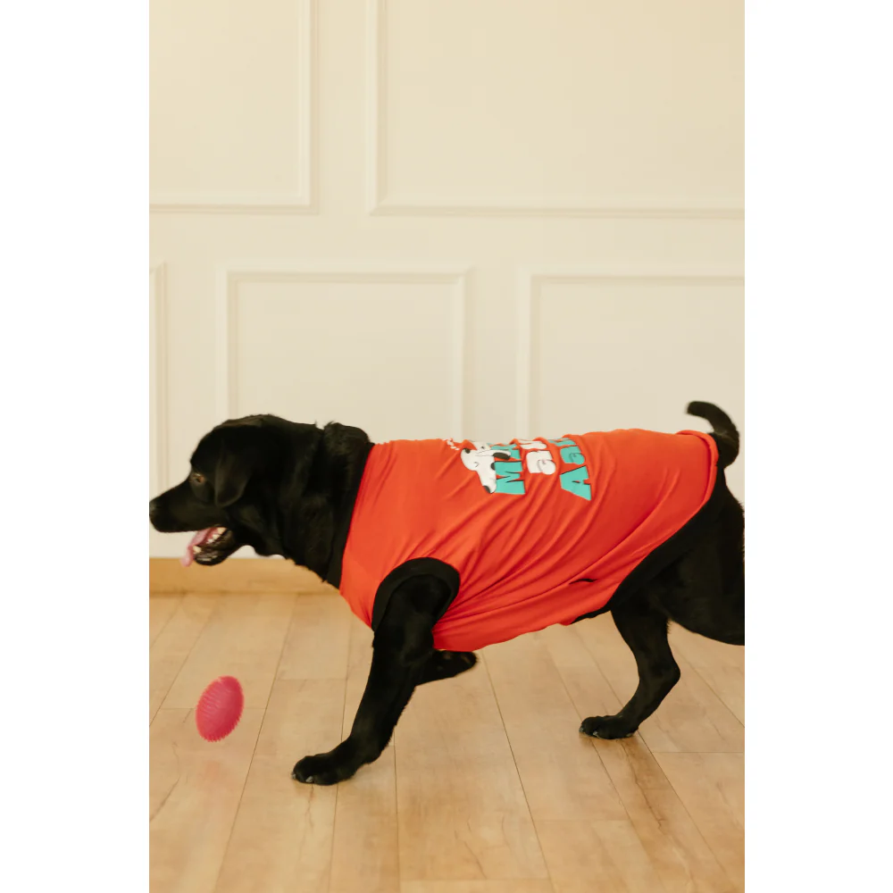 Pet Set Go Main Aur Aalsi T-shirt for Dog (Red) - Image 3