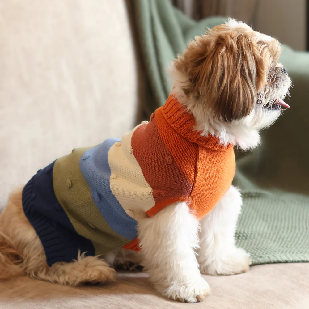 Pet Set Go Multi Coloured Sweater for Dogs - Image 2
