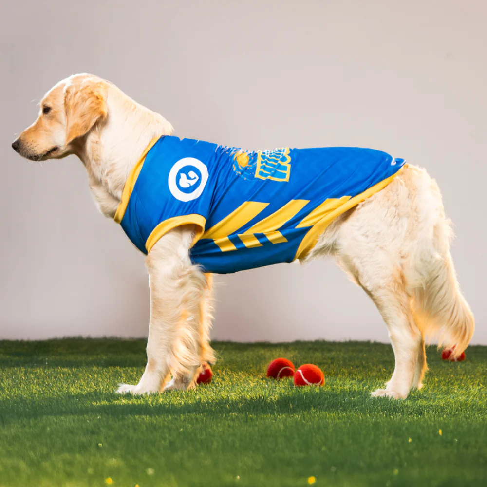 Pet Set Go Mumbai Woofians IPL Jersey for Dogs (Blue) | Indian Pet League - Image 3