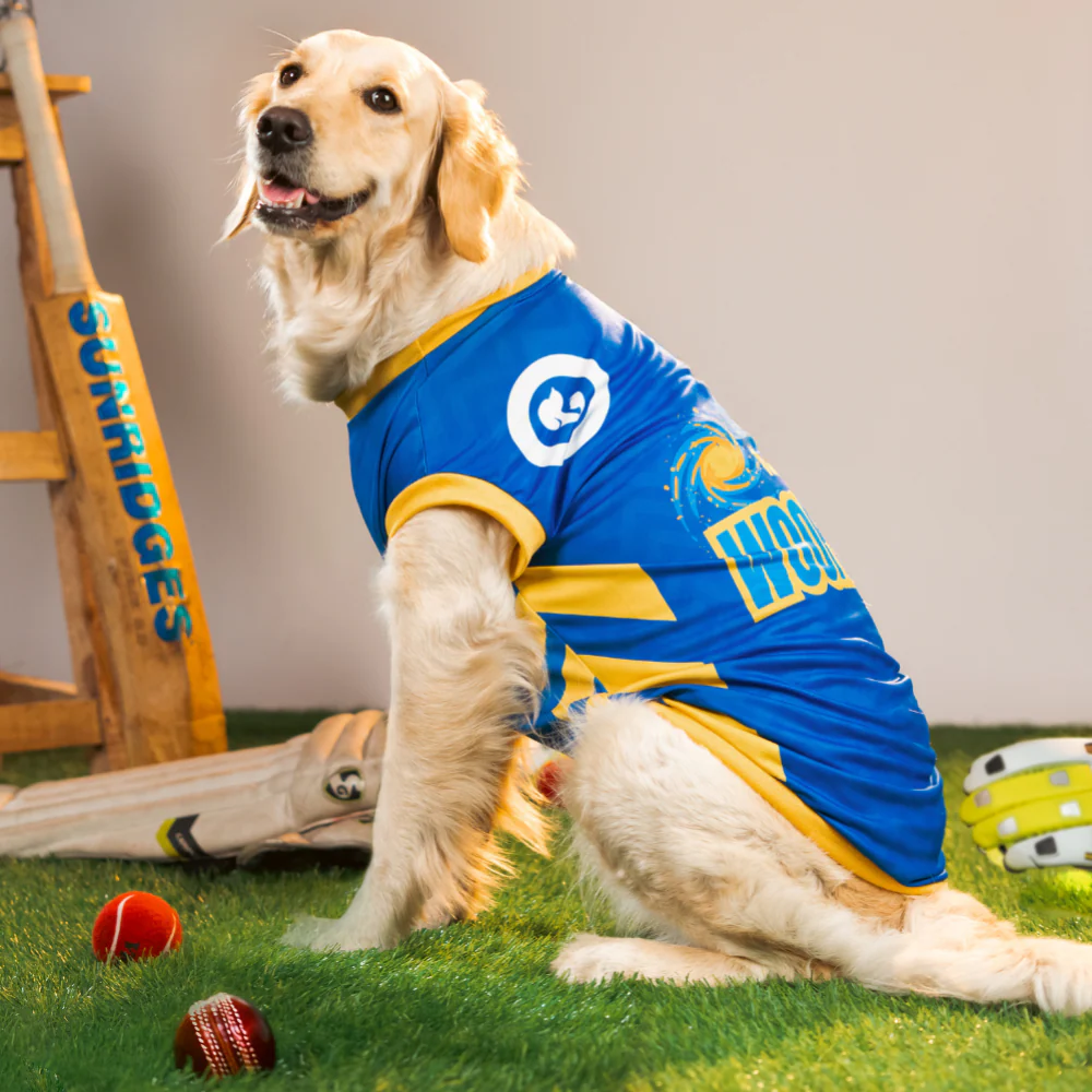 Pet Set Go Mumbai Woofians IPL Jersey for Dogs (Blue) | Indian Pet League - Image 5