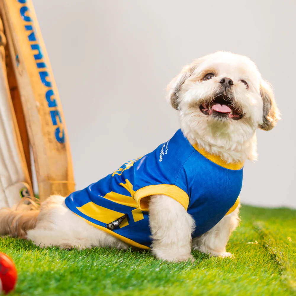 Pet Set Go Mumbai Woofians IPL Jersey for Dogs (Blue) | Indian Pet League - Image 6