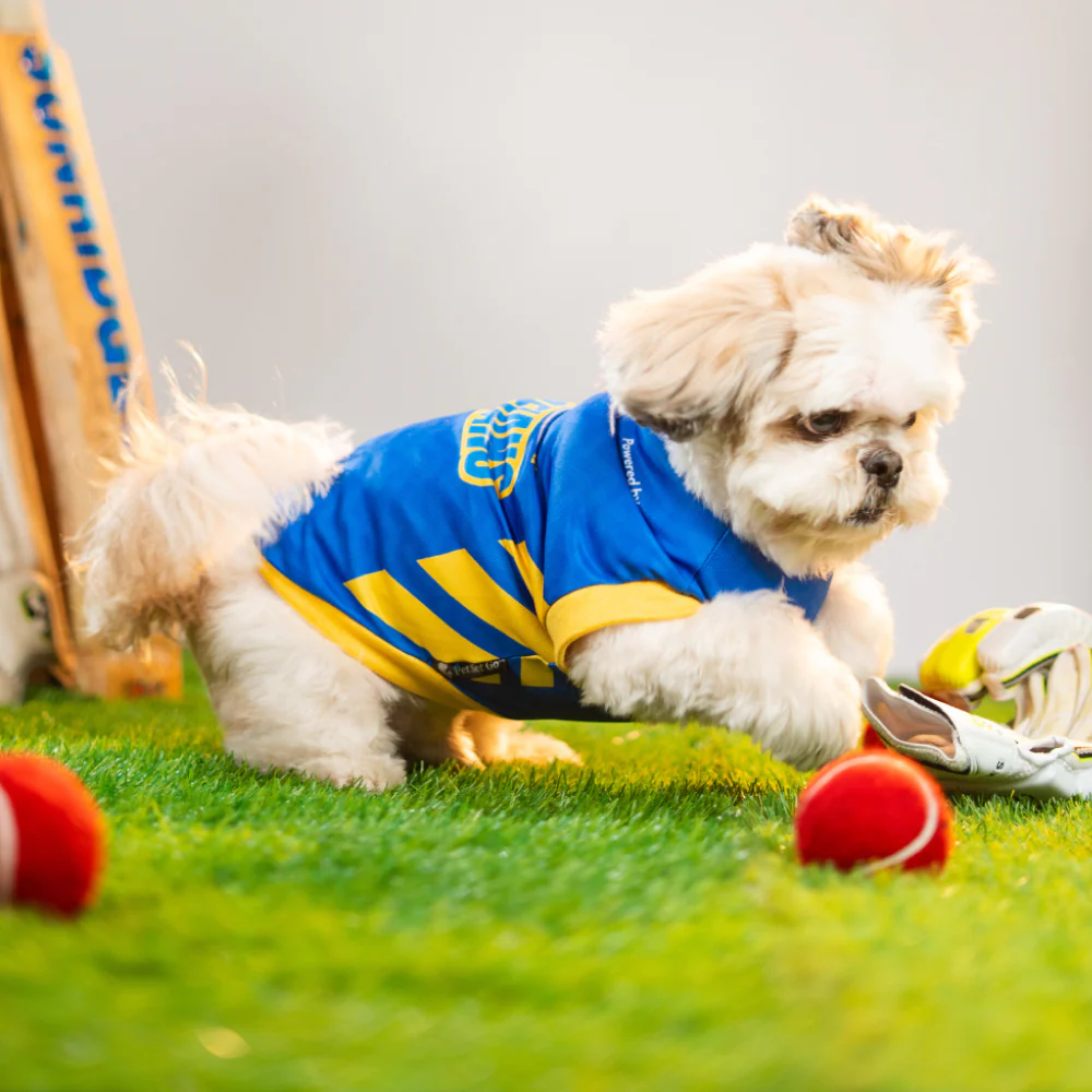 Pet Set Go Mumbai Woofians IPL Jersey for Dogs (Blue) | Indian Pet League - Image 7