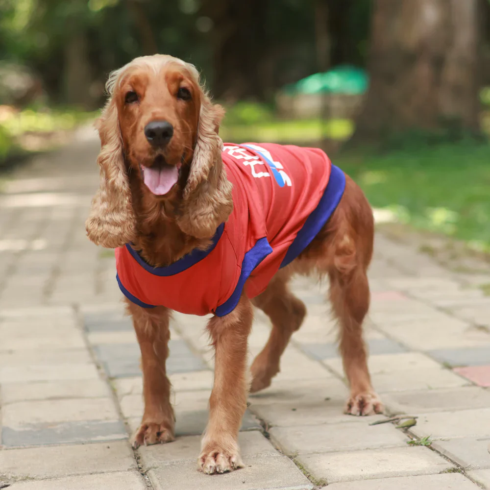 Pet Set Go Naps & Snacks T Shirt for Dogs (Red) - Image 3