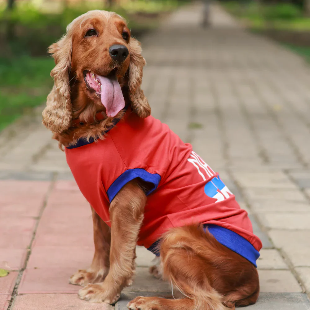 Pet Set Go Naps & Snacks T Shirt for Dogs (Red) - Image 4