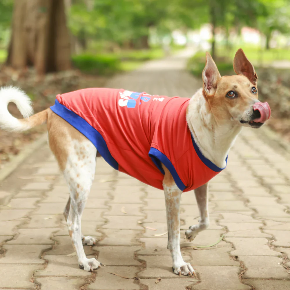 Pet Set Go Naps & Snacks T Shirt for Dogs (Red) - Image 5