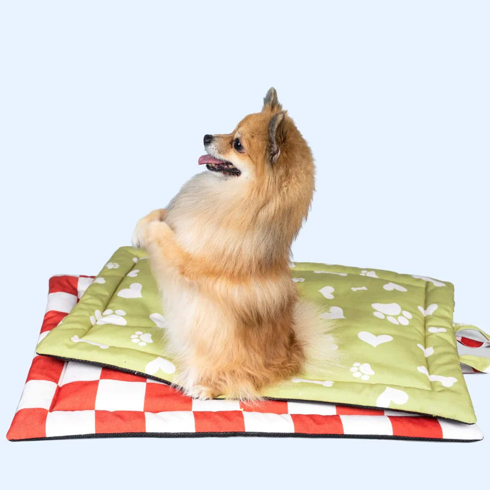 Pet Set Go Paw and Bones Heaven Mat for Dogs and Cats (Green) - Image 5