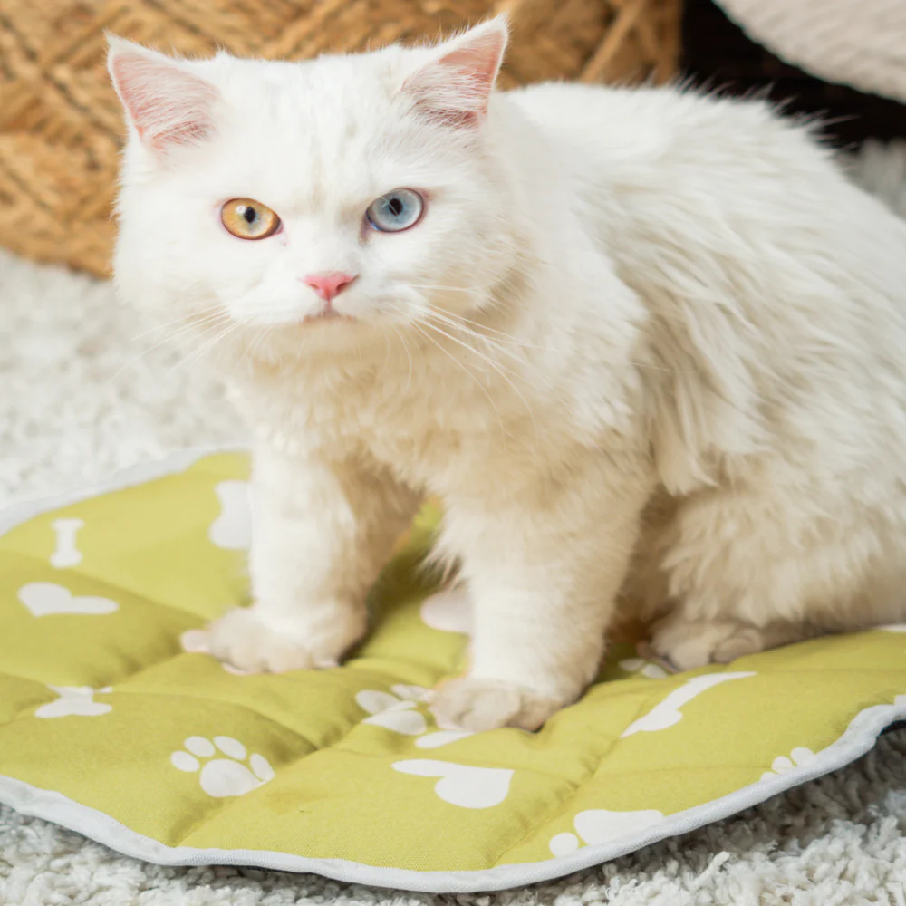 Pet Set Go Paws & Bones Heaven Mat for Cats (Green) - Image 3