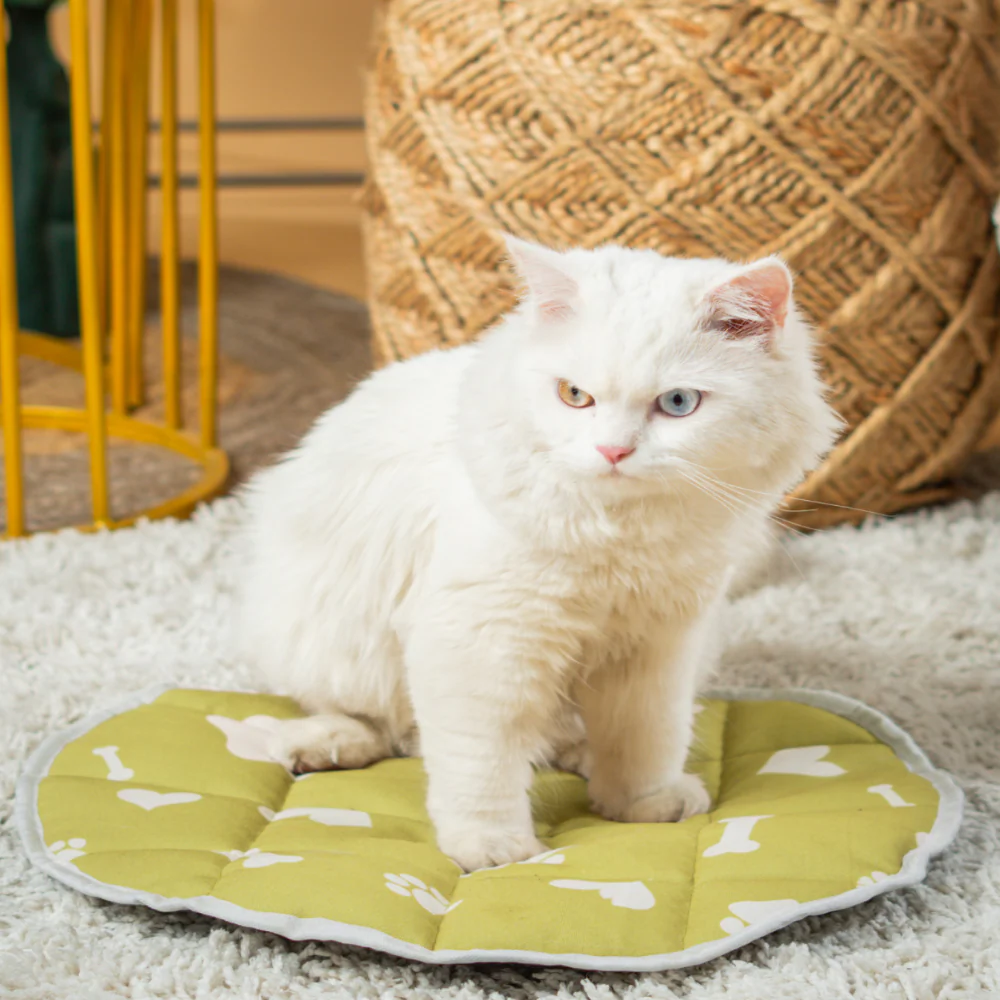 Pet Set Go Paws & Bones Heaven Mat for Cats (Green) - Image 5