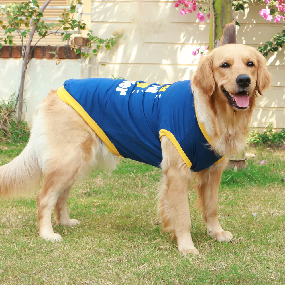 Pet Set Go Play Hard Nap Harder T Shirt for Dogs (Blue) - Image 2