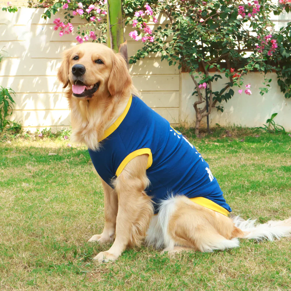 Pet Set Go Play Hard Nap Harder T Shirt for Dogs (Blue) - Image 3