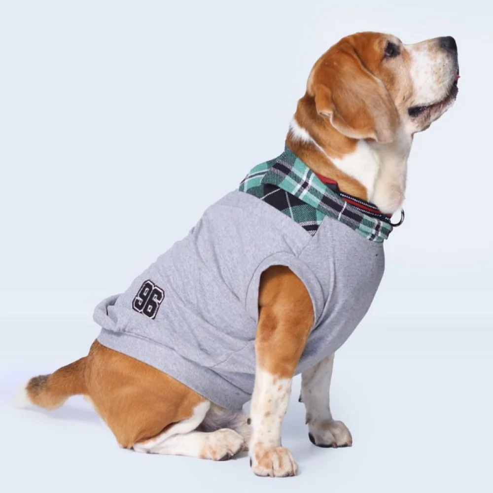 Pet Set Go Polo Knit Tshirt for Dogs (Grey) - Image 3