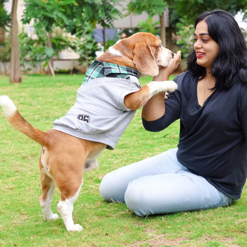 Pet Set Go Polo Knit Tshirt for Dogs (Grey) - Image 4