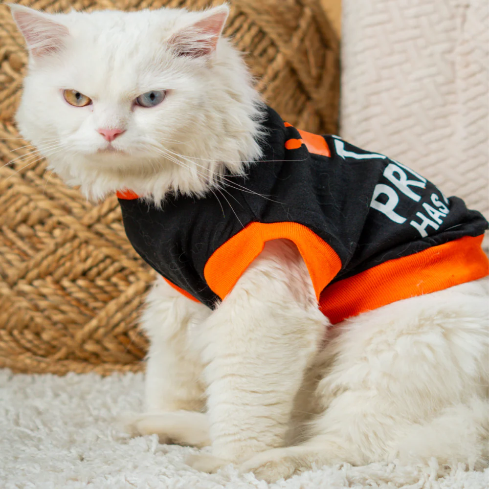 Pet Set Go Prince Has Arrived T-shirt for Cats (Orange/Black) - Image 3