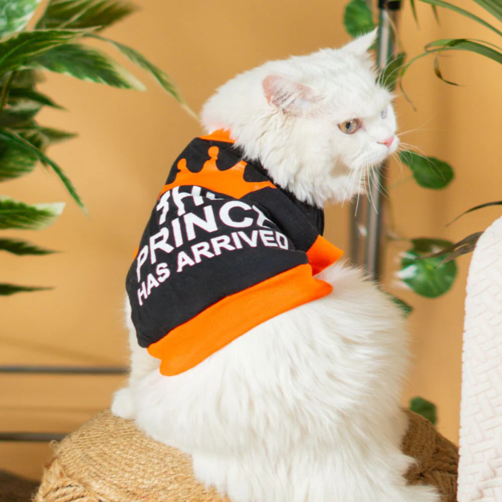 Pet Set Go Prince Has Arrived T-shirt for Cats (Orange/Black) - Image 5