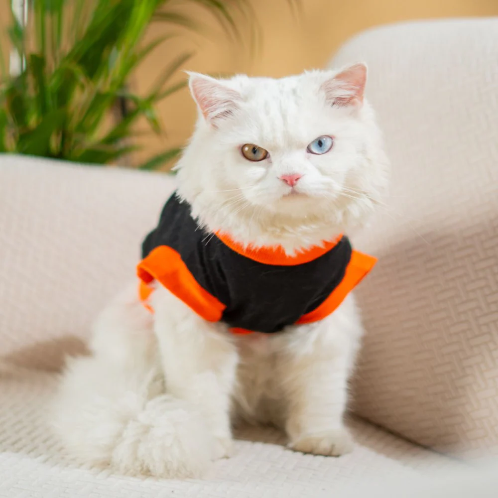 Pet Set Go Prince Has Arrived T-shirt for Cats (Orange/Black) - Image 6