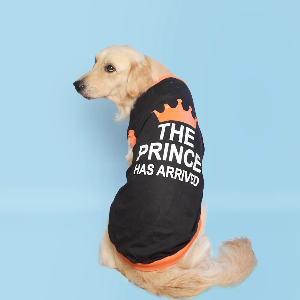 Pet Set Go Prince has Arrived T-shirt for Dogs (Black) - Image 2