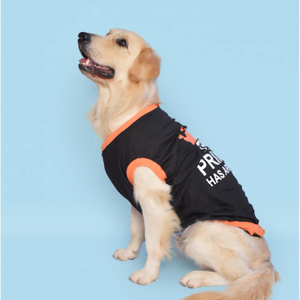 Pet Set Go Prince has Arrived T-shirt for Dogs (Black) - Image 3