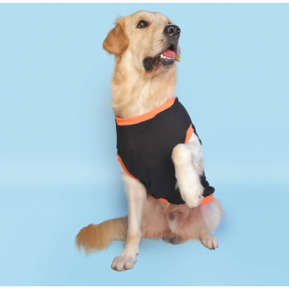 Pet Set Go Prince has Arrived T-shirt for Dogs (Black) - Image 4